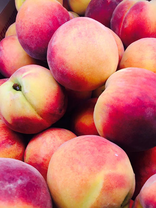 farm peaches